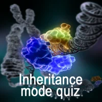 Genetic Inheritance Quiz C